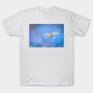 Four Eyed Swimmer T-Shirt